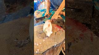 Amazing Big Mrigal Fish Cutting Skills Live In BD Fish9Market [upl. by Codding473]