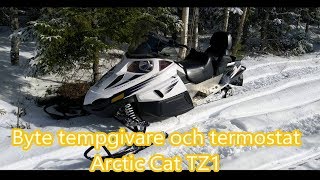 Arctic Cat TZ1 [upl. by Brigham120]