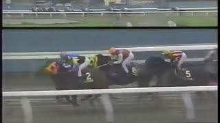 地方競馬ニュース ～ 第1回 さきたま杯 フジノマッケンオー [upl. by Nawad102]