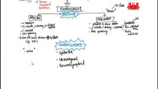 Neoplasia 1 Overview and Nomenclature [upl. by Yleik]