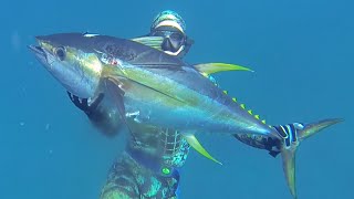 Spearfishing the Abrolhos Islands [upl. by Andrei]