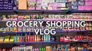 Grocery Shopping Vlog Realistic Grocery Vlog [upl. by Cataldo]