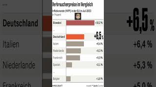 Verbraucherpreisindex Inflationsrate Juli 2023 [upl. by Dercy]