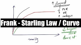 Cardiac Output 3  Frank Starling Law and Curve  Cardiovascular  Physiology  NEET PG [upl. by Ramon]