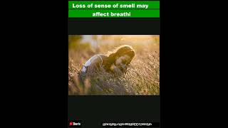 Loss of sense of smell may affect breathing patterns and our mental health new study suggesShorts [upl. by Orips855]