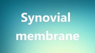 Synovial membrane  Medical Definition and Pronunciation [upl. by Eerazed]