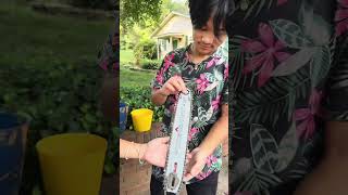 Automatic Oiler Battery Chainsaw woodworking woodchopping chainsaw [upl. by Robbins]