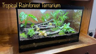 Make a Fish Tank Terrarium  Tropical Rainforest Style [upl. by Woehick]