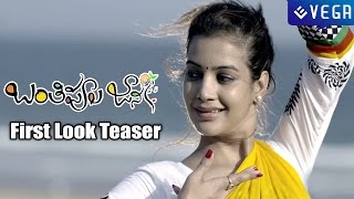 Banthi Poola Janaki Movie Teaser  Deeksha Panth  Dhanraj [upl. by Walburga]