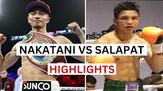 Junto Nakatani vs Tasana Salapat Highlights amp Knockouts [upl. by Nowed]