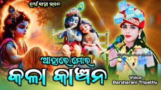 Mor Mayura Chulia Kanhu  ମୋର ମୟୁର ଚୂଳିଆ କାହ୍ନୁ  Voice Barsharani Tripathy  Duet Bhajan [upl. by Behka725]