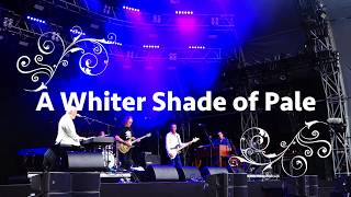 Procol Harum  Summerdays Festival Arbon 2019  A Whiter Shade of Pale [upl. by Boykins]