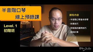 半音階口琴初級班 線上預錄課程！從零開始學習半音階，一起加入這個大家庭吧！｜ DMing Studio [upl. by Ramilahs]