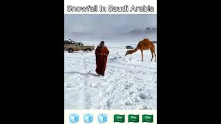 Snow Fall In Saudi Arabiasaudi arabia snowfall trendingvideo foryoupage views viralvideo [upl. by Ameekahs98]