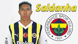 Matheus Saldanha ● Fenerbahce Transfer Target 🟡🔵🇧🇷 Best Goals amp Skills [upl. by Tollman768]