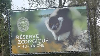 🦇 Réserve Naturelle Zoologique de la HauteTouche 〔1112024〕🎃 reservedelahautetouche8550 [upl. by Ytsirhc]