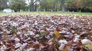 Autumn in Tettenhall Wolverhampton October 2020 [upl. by Nodlew]