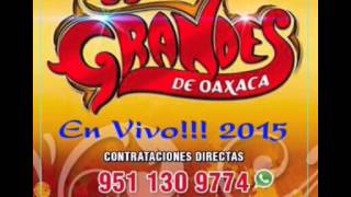 Los Grandes de Oaxaca en vivo 2015 Disco Complet [upl. by Pattani]