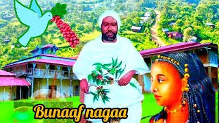 new jimma music2023 23 lakh views [upl. by Johny]