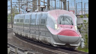 東北新幹線 こまち202号 E6系Z19編成 福島トンネル 減速運転 [upl. by Deehan854]