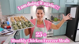 Chicken Meal Freezer Day Tons of New Recipes Monthly Freezer Meal Prep [upl. by Hana]