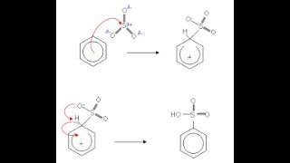 ميكانيكية تفاعل سلفنة البنزين العطرى Mechanism of Sulfonation of Benzene [upl. by Yrred]