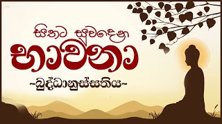 සිතට සුවදෙන භාවනා  බුද්ධානුස්සතිය  Buddhanussathi Bawanawa [upl. by Stralka]