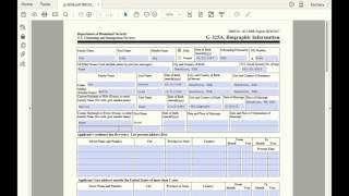 G325 Biographic Information Page Sponsor Adjustment of Status [upl. by Mihe]