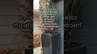 Allaahmaappila songmalayalamcanadashortfeedgreen vlogs by shaluEp 192 [upl. by Eedissac]