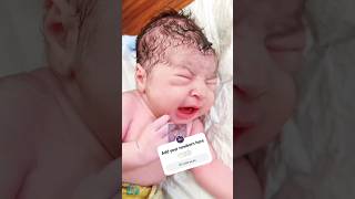 Adorable Newborn Baby First Cry AfterBirth [upl. by Susie144]