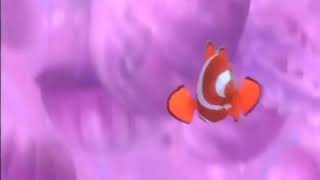 Just a normal clip from Finding Nemo [upl. by Ennayoj]