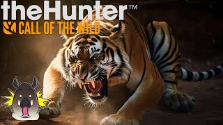 The Scariest Tiger Assault Youll Ever See  The Hunter Call Of The Wild [upl. by Eimmit]