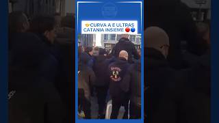 I TIFOSI DELLA CURVA A DEL NAPOLI E GLI ULTRAS DEL CATANIA CANTANO INSIEME 💙🤝🔴🔵 napoli catania [upl. by Kalmick459]