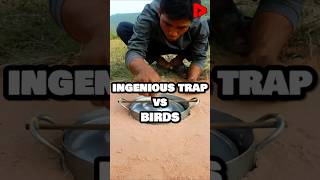 Ingenious Trap vs Birds 🪤🐦 [upl. by Ytsur]