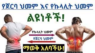 የኩላሊት ህመም እና የጀርባ ህመም መሠረታዊ ልዩነቶች ግዴታ ማወቅ አለባችሁ The difference between Kidney pain and back pain [upl. by Portugal]