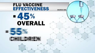 Flu Vaccine Effectiveness Estimates [upl. by Eelitan]