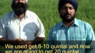 Interview with progressive farmers  Punjab India [upl. by Binnings426]