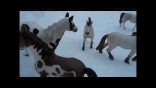 Three Herds A Schleich Horse Movie Part 1 [upl. by Anadal541]