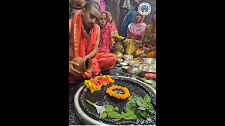 Live darshan of shri Vaidyanath jyotirlinga jai shiv shanker jai bhole nath jai maa Parvati [upl. by Alliuqahs288]