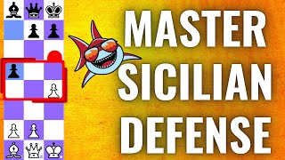 How to Play the Sicilian Defence 10Minute Chess Openings for Beginners Learn All Variations [upl. by Ahilam]