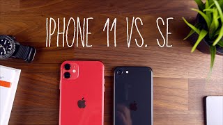 iPhone 11 vs the new iPhone SE  Which Phone is Better Value [upl. by Nairim]