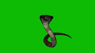 Cobra Green Screen HD [upl. by Cinamod]