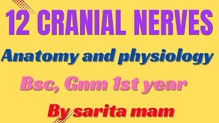 12 CRANIAL NERVES  ANATOMY AND PHYSIOLOGY  BSC  GNM 1ST YEAR [upl. by Taryne]