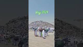 Hajj 2024  Mina  Muzdalfa  Arafat shortsfeed shorts shortislamic [upl. by Hevak]