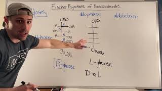 Drawing Fischer Projections amp Terminology of D and L Sugars [upl. by Marget]