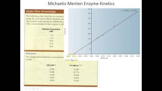 Lecture 5B  More MichaelisMenten Enzyme Kinetics [upl. by Odel395]