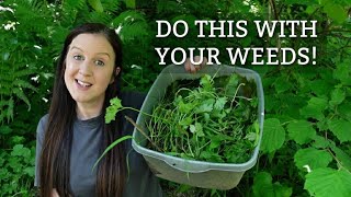 How To Make Fertiliser Fertilizer From Garden Weeds  How To Make Plant Food [upl. by Nnylrebma]