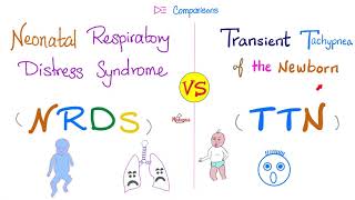 Neonatal Respirtory Distress Syndrome NRDS vs Transient Tachypnea of the Newborn TTN [upl. by Nohpets]