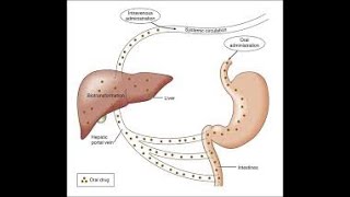 BIOTRANSFORMATIONPHARMACOLOGY [upl. by Poppas422]