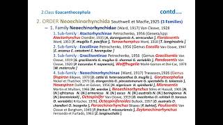 ACANTHOCEPHALAThorny or Spinyheaded worms CLASSIFICATION [upl. by Hermione]